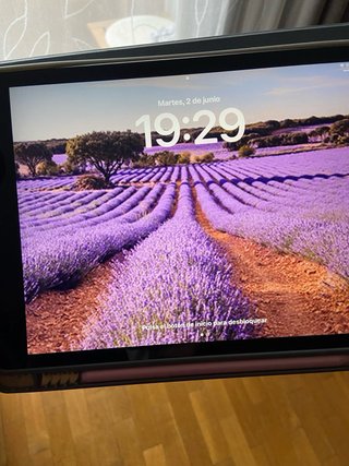 iPad 10.2 8ª Gen 32GB WiFi + 4G Gris Espacial
