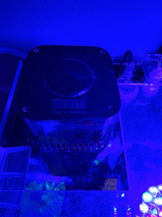 Acuario Marino muy completo 91 litros