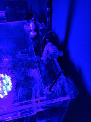 Acuario Marino muy completo 91 litros