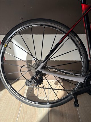 Bicicleta Carretera Scott Shimano Ultegra