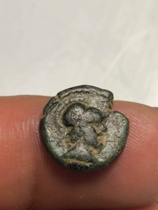 Moneda Romana Pamphylia Sillyum Antigua