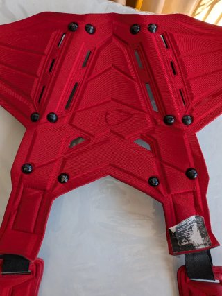 Peto EVS F1 Roost Guard