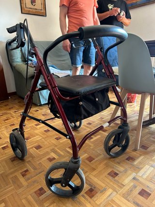 Andador-Silla 2 en 1 - García 1880
