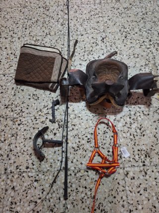 Silla de montar, manta y cabezada pony
