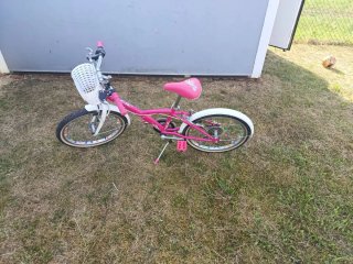Bicicleta infantil, el cesto no viene con la bici