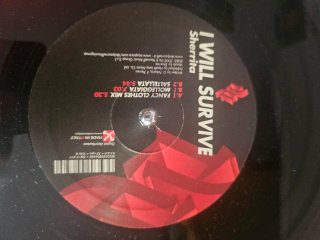 Sherrita - I Will Survive Vinilo House 2008