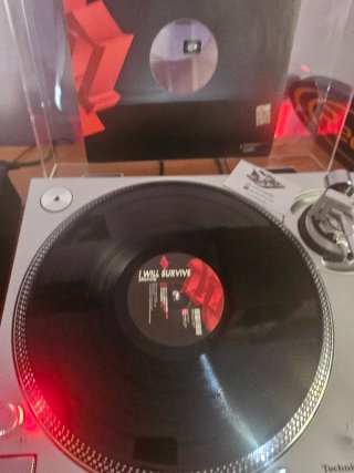 Sherrita - I Will Survive Vinilo House 2008