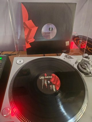 Sherrita - I Will Survive Vinilo House 2008
