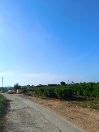 Terreno rustico en Cheste