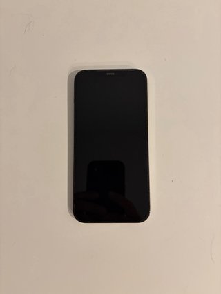 iPhone 12 Pro Max Argento