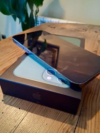 iPhone 13 Pro Max Verde