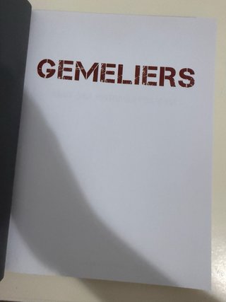 Libro Gemeliers: Mil y una historias por vivir.