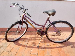 Bicicleta de Montaña Morada