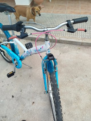 Bicicleta infantil niña