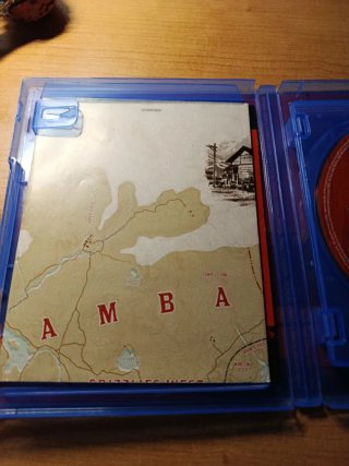 Carcasa Red Dead Redemption 2 PS4 + Mapa