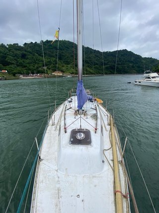 Barco Belero