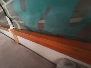 Litera Kura Ikea + Dosel Animales