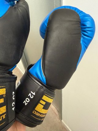 Guantes de Boxeo Danger 12 oz