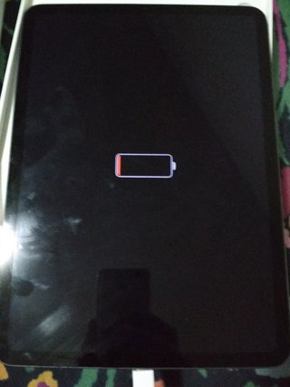iPad Pro 11 1TB WiFi batteria scarica