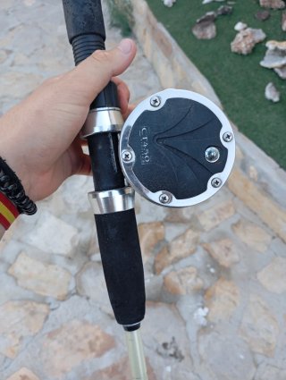 Caña y carrete
