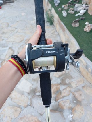 Caña y carrete