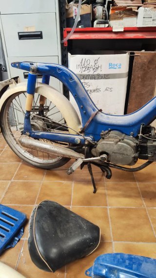 Moped Azul Clásico