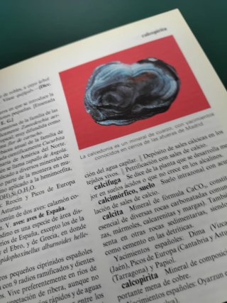Libro diccionario de la naturaleza