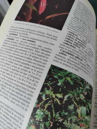 Libro diccionario de la naturaleza