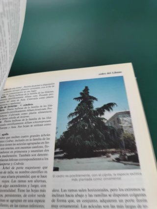 Libro diccionario de la naturaleza