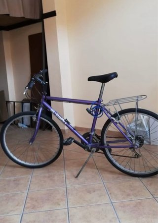 Bicicleta de Montaña Morada
