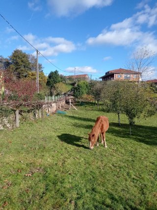 Se venden 2 casas a 15 km de Pontevedra