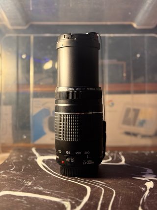 Canon EOS 1100D + 2 objetivos