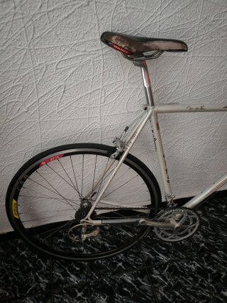 Bicicleta Olmo San Remo Italia (Unica)