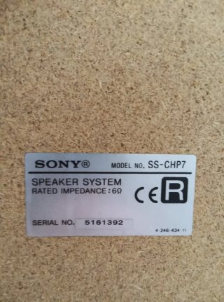 Coppia Altoparlanti Sony Argento/Nero