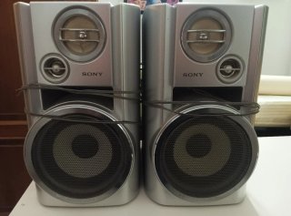 Coppia Altoparlanti Sony Argento/Nero