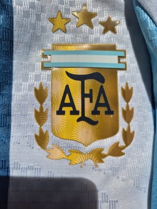 Camiseta Argentina Messi T. L (solo envios)