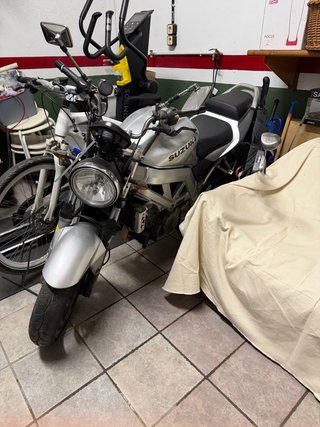 Suzuki SV650 Naked 2001 Plata