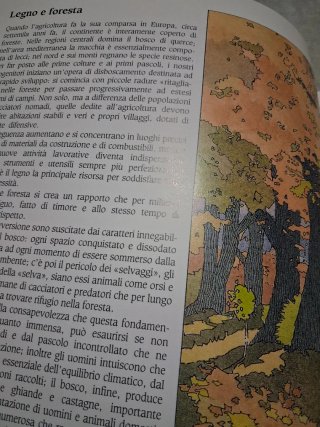 Legno Pietra e Terra l'arte del costruire