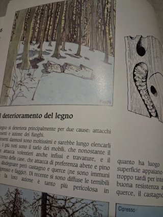 Legno Pietra e Terra l'arte del costruire