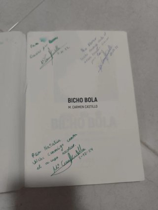Bicho bola