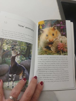 Oxford Bookworms Library: Stage 1: Animals in D...