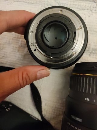 Nikon D7100 + Yongnuo 50mm + Sigma 70-300mm