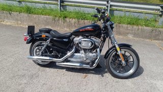 Harley Davidson Sportster 883
