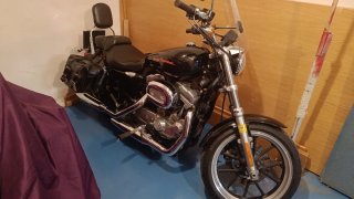 Harley Davidson Sportster 883