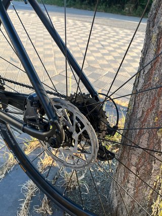 Bici carretera Ultegra discos