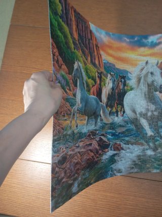 Puzzle Caballos Salvajes Río Cañón