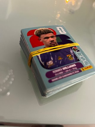 Cromos Mundial 2026 Panini