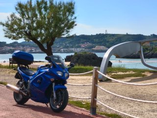 Triumph Sprint 955i - 2003