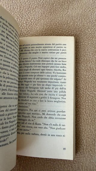 Dopo il banchetto romanzo