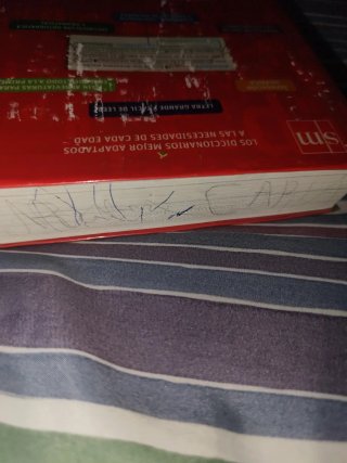 Diccionario Básico Primaria. Lengua española